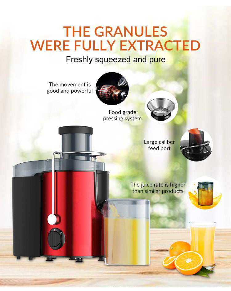 800W Multifunctional Fruit & Veg Juicer