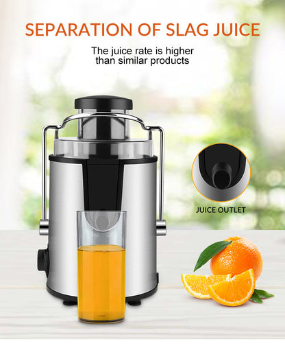 800W Multifunctional Fruit & Veg Juicer