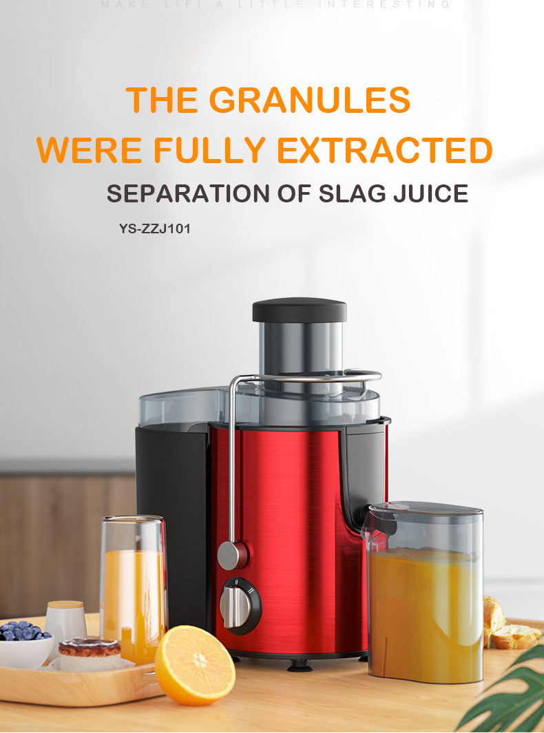 800W Multifunctional Fruit & Veg Juicer