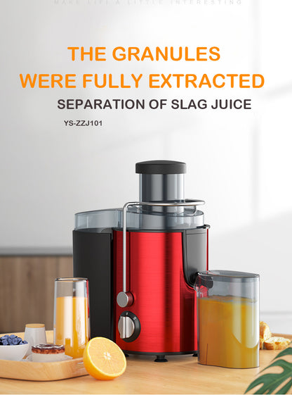 800W Multifunctional Fruit & Veg Juicer