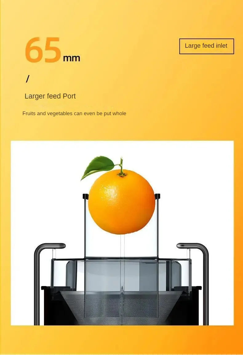 800W Stainless Steel Centrifugal Juicer