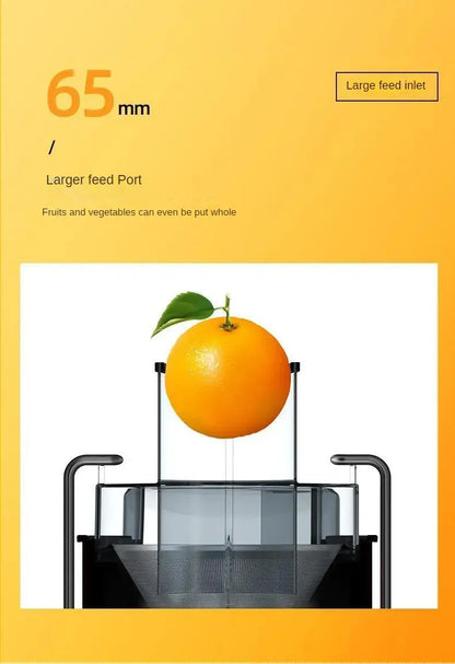 800W Stainless Steel Centrifugal Juicer